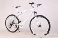 BMW Cross Country Mountain Bike Double Disc Brake