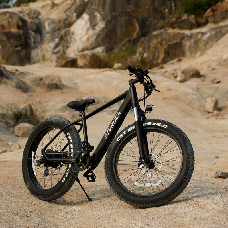 26 inch Fat Tire Electric Mountain Bicycle, 1000W Motor 48V 15Ah Ebike (US Market)